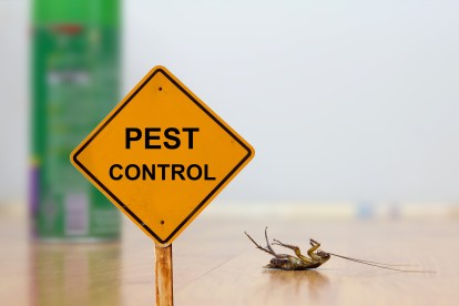 Pest Contol in Beddington, SM6. Call Now 020 8166 9746